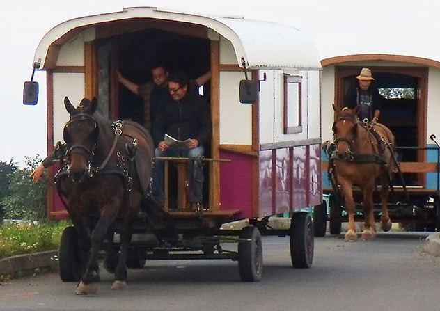 Pour votre mariage offrez-vous le privilège d'arriver sur le lieu de votre réception à bord d'une calèche tractée par un ou plusieurs chevaux de trait. Ce mode de transport atypique embaumera votre journée magique de son parfum d'antan